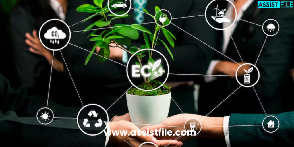 What is the operating principle of iso 14001 environmental management system